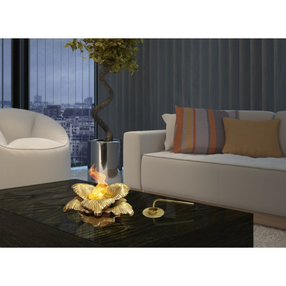 Anywhere Fireplaces 90223 Indoor/Outdoor Fireplace Chatsworth (Gold)